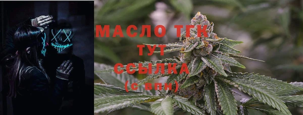 тгк Гусев