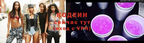 ECSTASY Гусь-Хрустальный