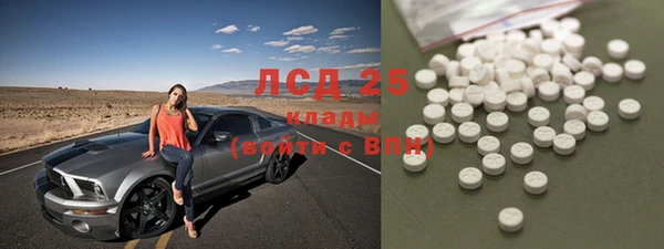 ECSTASY Гусь-Хрустальный