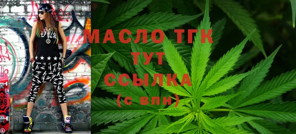 тгк Гусев
