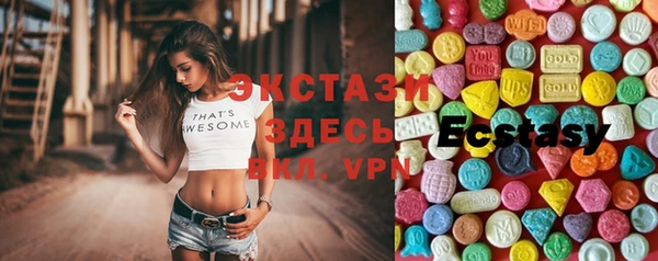 ECSTASY Гусь-Хрустальный