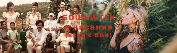ECSTASY Гусь-Хрустальный