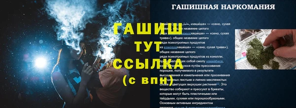 тгк Гусев