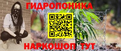 наркотики Берёзовский