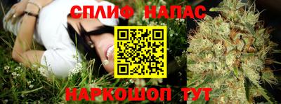 тгк Камышлов