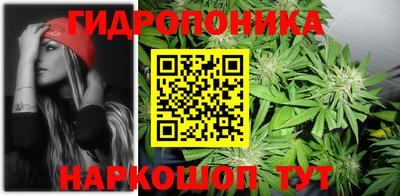 индика Канаш