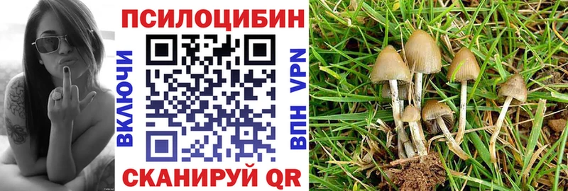 Псилоцибиновые грибы мицелий  магазин  наркотиков  Острогожск 